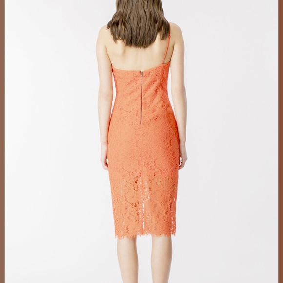 Bardot Maya Lace Cocktail Dress - Picture 4 of 6